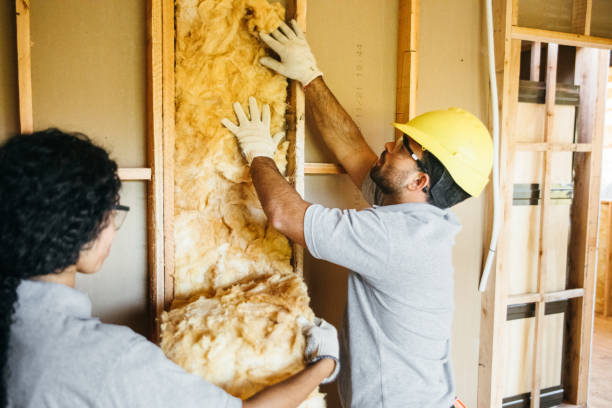 Best Crawl Space Insulation  in Loch Lomond, VA